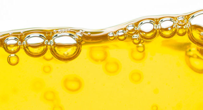 yellow-banner1
